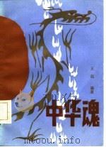 中华魂 1986 PDF电子版封面 10116·1051 王起编著