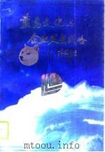 蓝岛文化与企业发展战略（1994 PDF版）