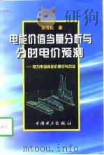 电能价值当量分析与分时电价预测  电力市场的定价理论与方法（1998 PDF版）