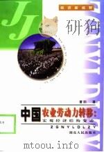 中国农业劳动力转移  宏观经济结构变动（1999 PDF版）