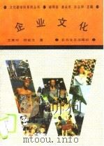企业文化（1991 PDF版）
