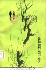 篮网的梦（1982 PDF版）