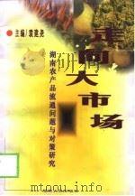 走向大市场  湖南农产品流通问题与对策研究（1999 PDF版）