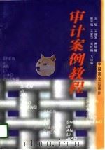 审计案例教程（1998 PDF版）