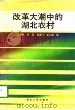 改革大潮中的湖北农村（1989 PDF版）