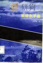凯旋在子夜（1987 PDF版）
