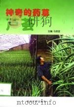 神奇的药草芦荟（1998 PDF版）