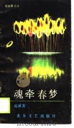 魂牵春梦（1990 PDF版）
