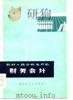 农村人民公社生产大队财务会计（1978 PDF版）