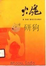 火魂 1990 PDF电子版封面 753130385X 张浩著