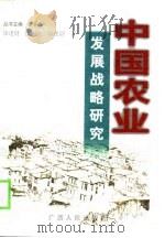 中国农业发展战略研究（1998 PDF版）