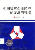 中国私有企业经济的发展与管理（1993 PDF版）