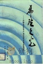 希望之光  中国高新技术产业开发区战略研究（1991 PDF版）