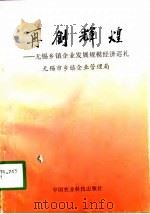再创辉煌  无锡乡镇企业发展规模经济巡礼（1998 PDF版）