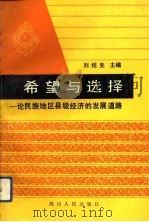 希望与选择 论民族地区县级经济的发展道路 1992 PDF电子版封面 7220016107 刘绍先主编