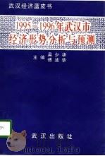 1995-1996年武汉市经济形势分析与预测（1996 PDF版）