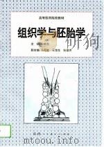 组织学与胚胎学（1993 PDF版）
