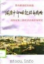 湖南中部崛起的新战略 湖南省第二条经济走廊开发研究 1995 PDF电子版封面 7543809982 赵世荣主编