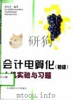会计电算化  初级  上机实验与习题（1997 PDF版）