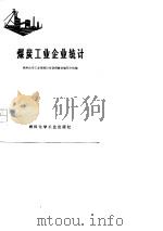 煤炭工业企业统计  试用教材（1974 PDF版）