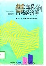 社会主义市场经济学（1996 PDF版）