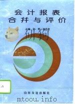 会计报表合并与评价（1995 PDF版）