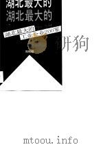 湖北最大的工业企业200家（1990 PDF版）