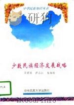 少数民族经济发展战略（1994 PDF版）