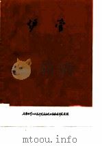 石油裂解炉与制氢转化炉  炉管（1974 PDF版）