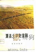 萧县大步赶昔阳 1976 PDF电子版封面 沈涤潇著