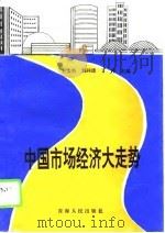 中国市场经济大走势（1994 PDF版）