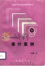 审计案例（1993 PDF版）