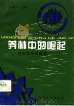 莽林中的崛起  景颇族发展探索（1993 PDF版）