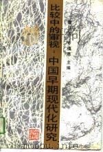 比较中的审视：中国早期现代化研究（1993 PDF版）