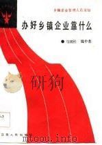 办好乡镇企业靠什么（1987 PDF版）