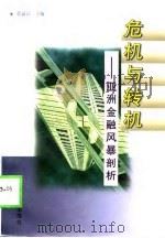 危机与转机  亚洲金融风暴剖析（1998 PDF版）