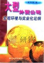 大型外贸公司宏观环境与实业化论纲（1998 PDF版）