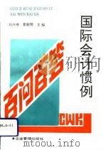 国际会计惯例百问百答（1994 PDF版）