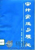 审计实践与理论（1994 PDF版）
