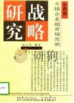 中西部乡镇企业超常规发展战略研究（1996 PDF版）