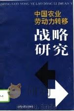 中国农业劳动力转移战略研究（1993 PDF版）