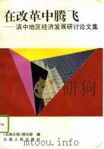 在改革中腾飞 滇中地区经济发展研讨论文集 1994 PDF电子版封面 7222016171 《云南日报》理论部编