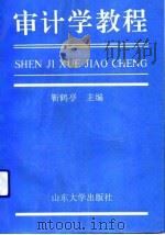 审计学教程（1992 PDF版）