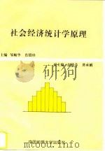 社会经济统计学原理（1997 PDF版）