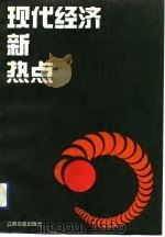 现代经济新热点（1992 PDF版）