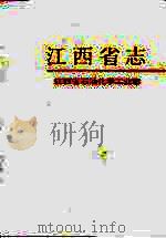 江西省石油化学工业志（1993 PDF版）