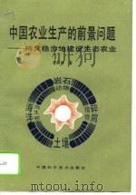 中国农业生产的前景问题 持久稳步地建设生态农业 1990 PDF电子版封面 7504602744 李森林著