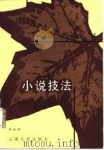 小说技法 1987 PDF电子版封面 李必雨著