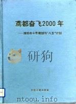 鸢都奋飞2000年 潍坊市十年规划与“八五”计划 1992 PDF电子版封面 7800582256 潍坊市人民政府编