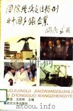 国际经济交往惯例与中国乡镇企业 1994 PDF电子版封面 730701842X 黄进,王庆和主编